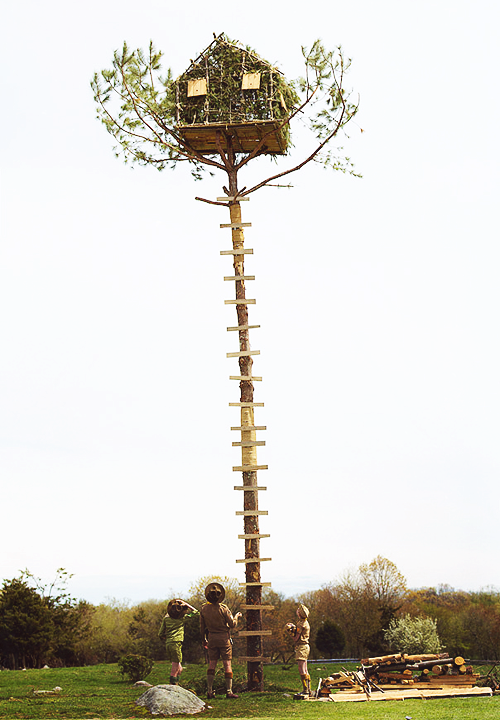 moonrise kingdom treehouse